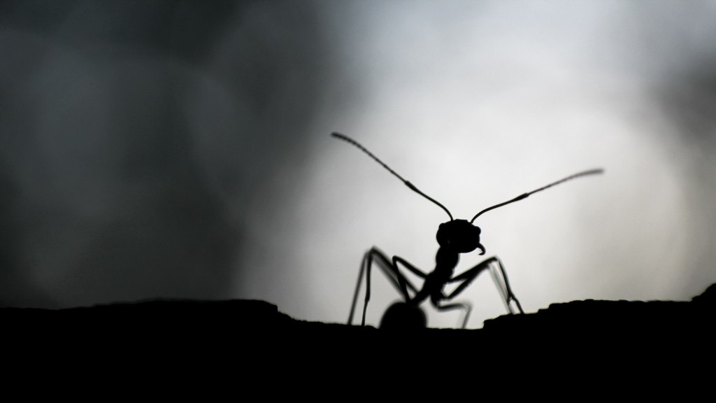 How much do ants weigh?