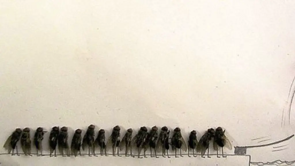 Can Flies Come In Through Ac About Bugs can-flies-come-in-through-ac-about-bugs